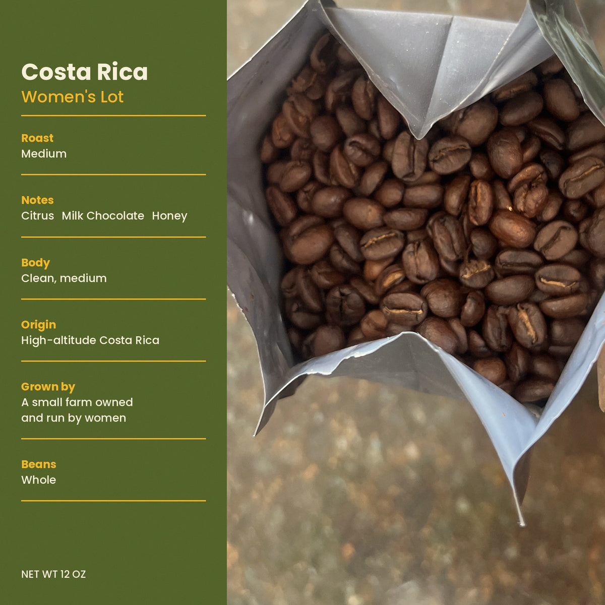 Costa Rica (Women's Lot)