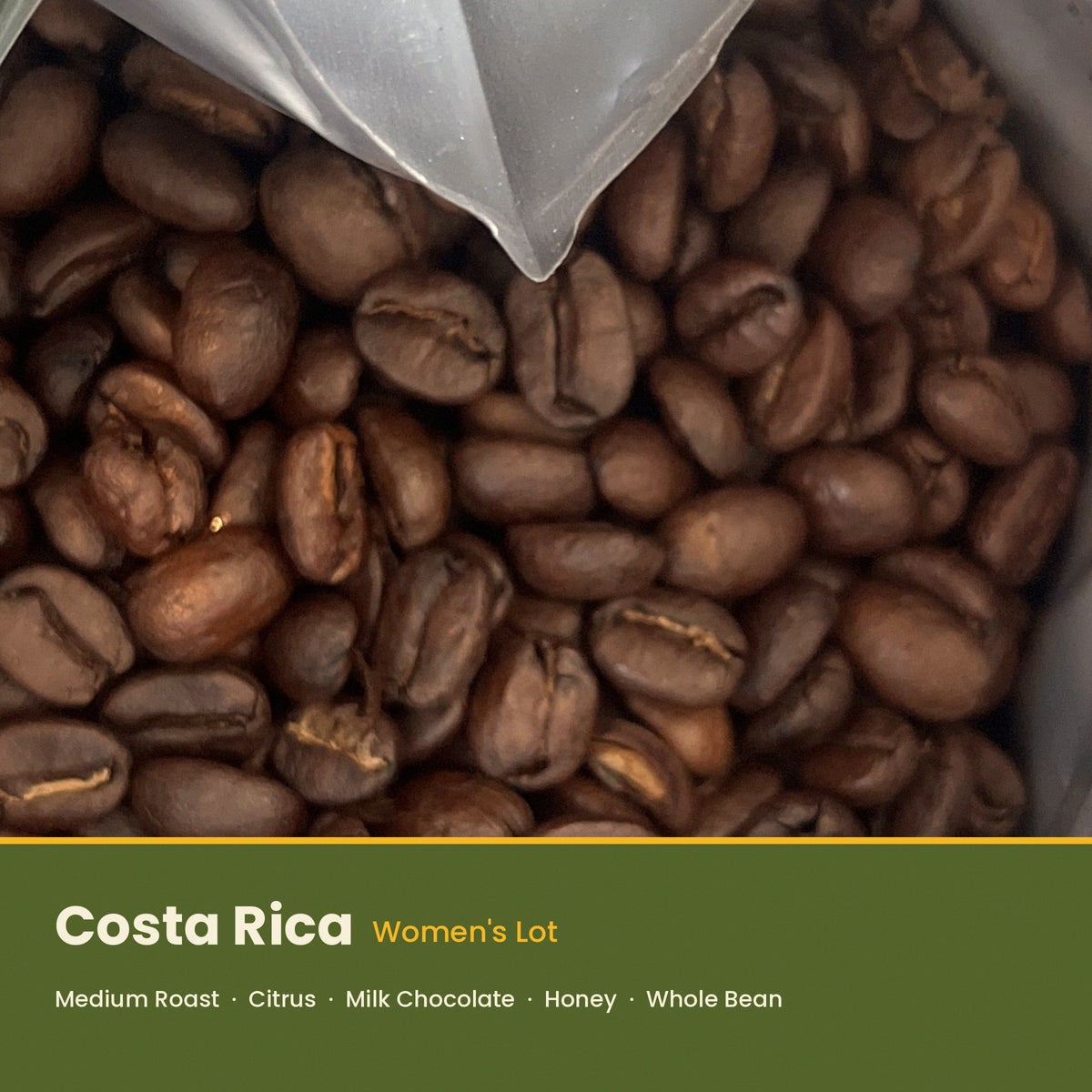 Costa Rica (Women's Lot)