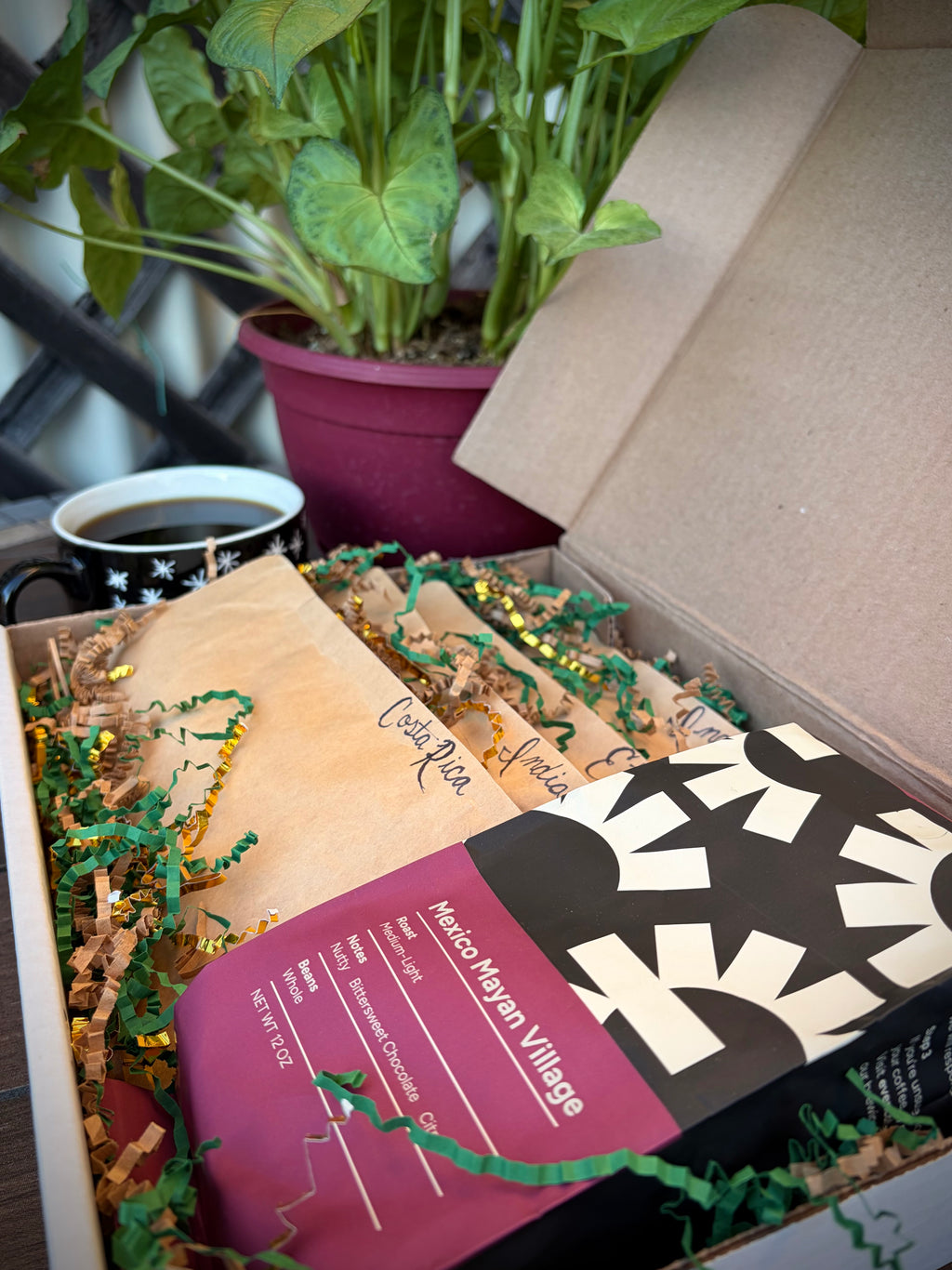 Holiday Mix & Match Coffee Pack + 8 single serve pods