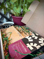 Holiday Mix & Match Coffee Pack + 8 single serve pods